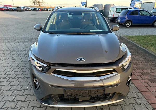 Kia Stonic cena 42900 przebieg: 28900, rok produkcji 2021 z Pieńsk małe 67